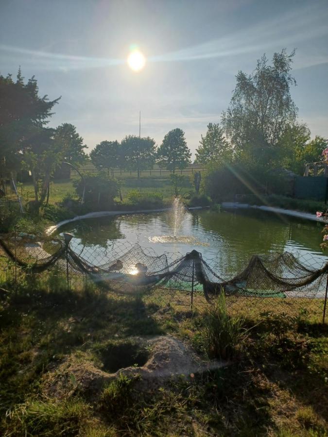 Zimmer Und Apartment Rosi Krakow am See Eksteriør bilde