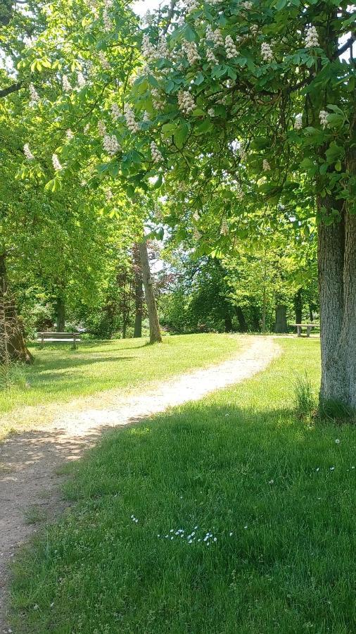 Zimmer Und Apartment Rosi Krakow am See Eksteriør bilde