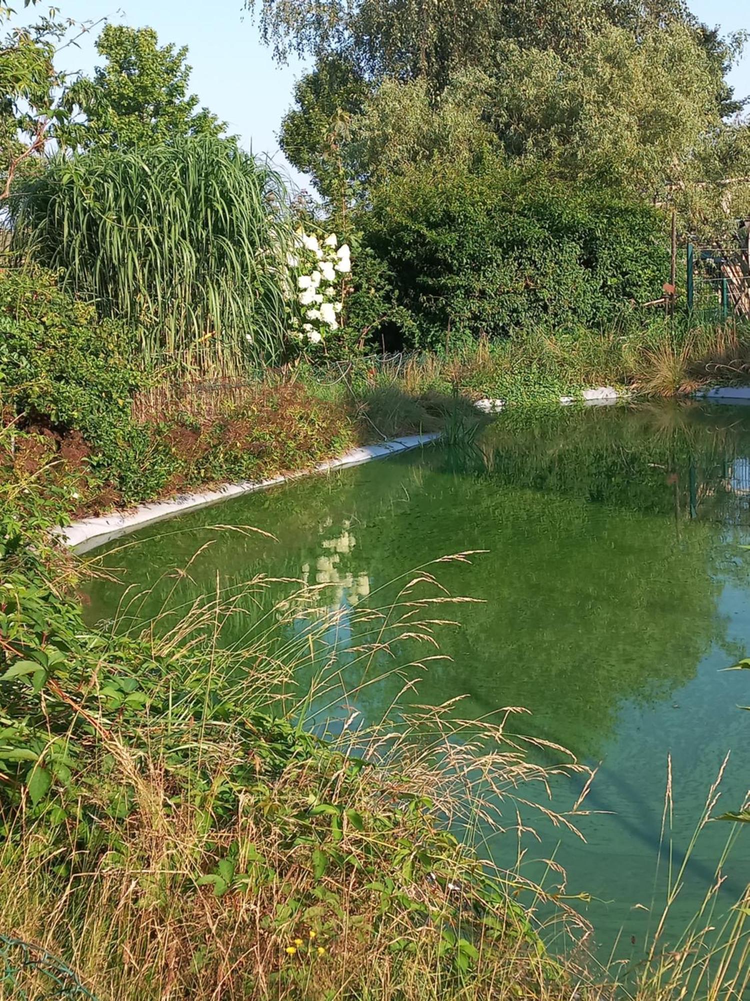 Zimmer Und Apartment Rosi Krakow am See Eksteriør bilde