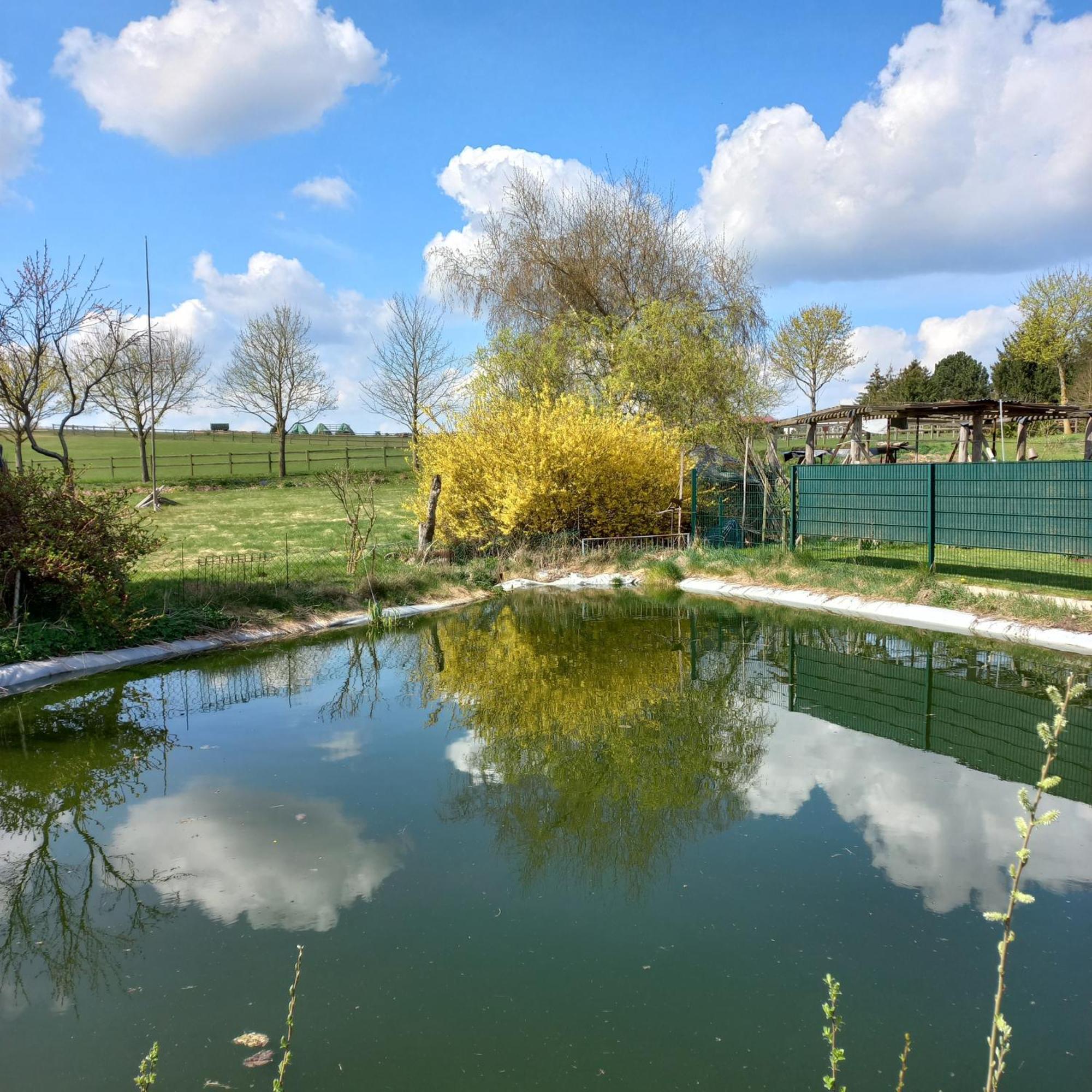Zimmer Und Apartment Rosi Krakow am See Eksteriør bilde