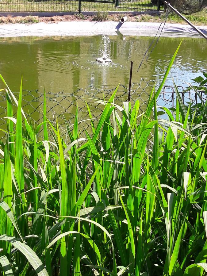 Zimmer Und Apartment Rosi Krakow am See Eksteriør bilde