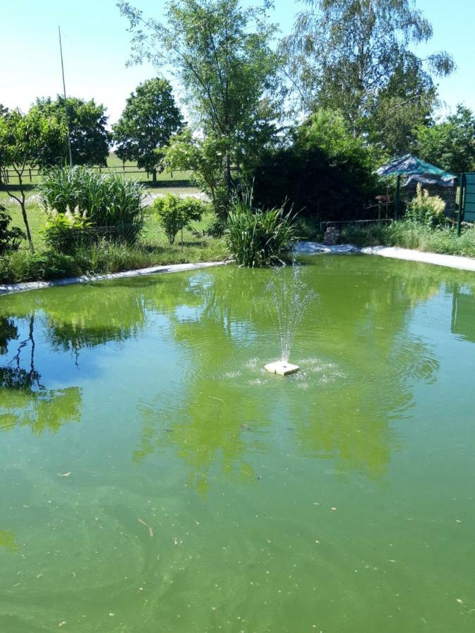 Zimmer Und Apartment Rosi Krakow am See Eksteriør bilde